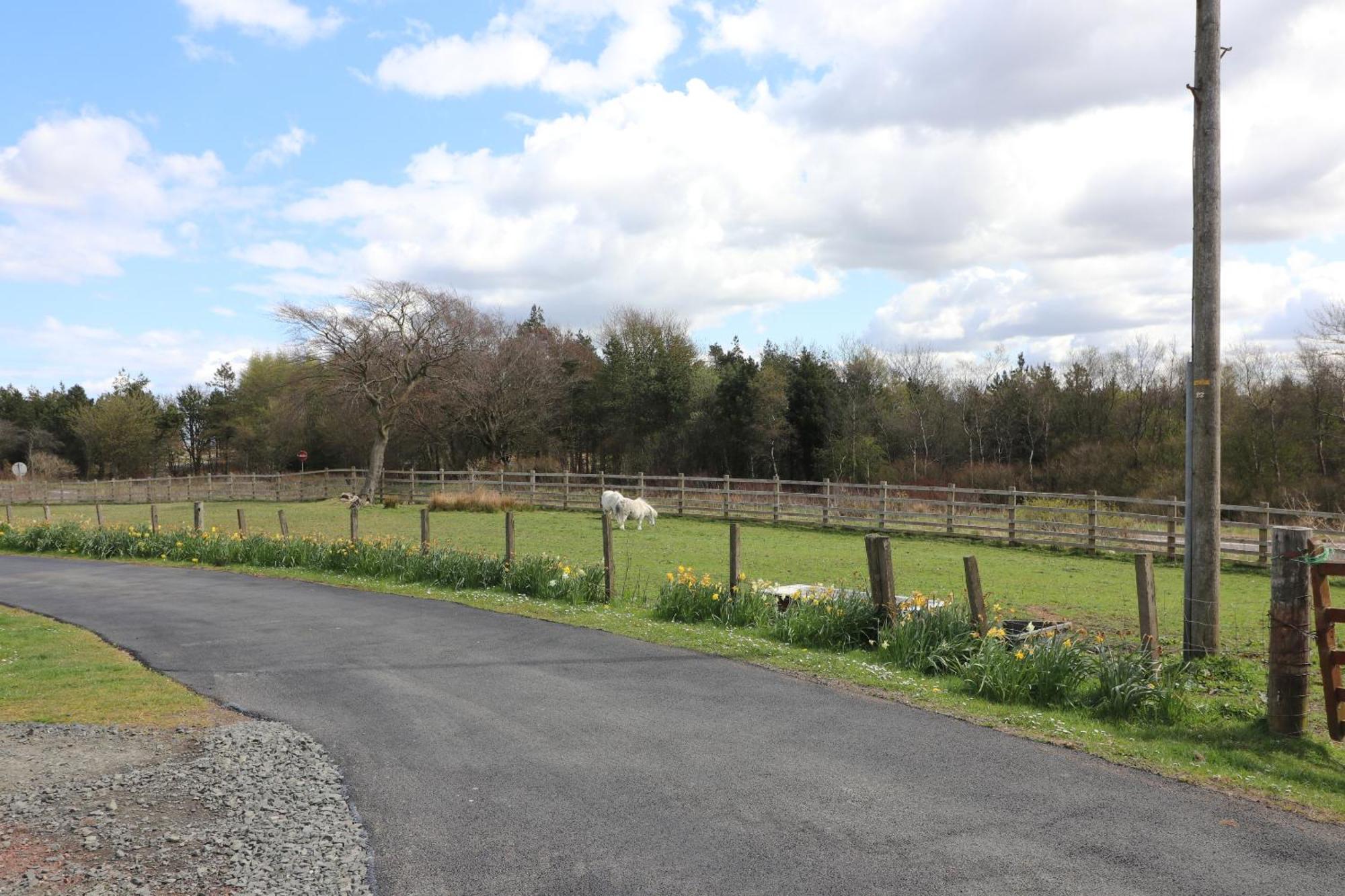 Blairmains Guest House Kirk of Shotts Экстерьер фото