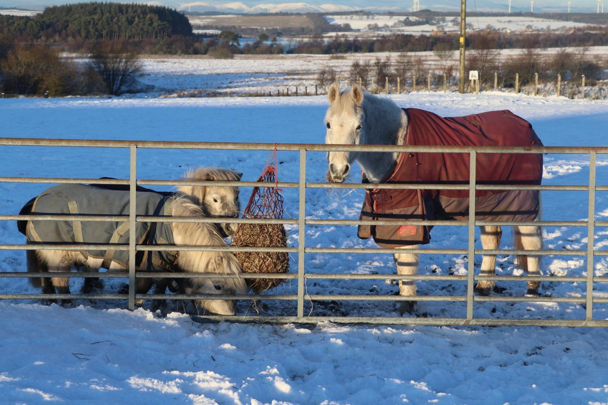Blairmains Guest House Kirk of Shotts Экстерьер фото